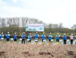 Menggali Potensi Kolaborasi PLN EPI untuk Meningkatkan Ekosistem Mangrove dan Hutan Biomassa di Lontar