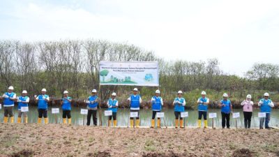 Menggali Potensi Kolaborasi PLN EPI untuk Meningkatkan Ekosistem Mangrove dan Hutan Biomassa di Lontar