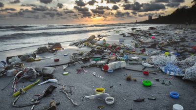 Menggagas Bersama untuk Mengakhiri Polusi Plastik: Inisiatif World Plastics Council dan Global Plastics Alliance