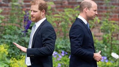 Kesamaan Antara Pangeran William dan Harry Meski Dalam Ketegangan, Gemar pada Tantangan