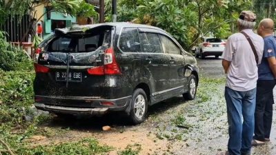 “Ribuan Pohon di Jakarta Tumbang Akibat Hujan dan Angin Kencang, Mobil-mobil Ringsek”