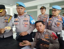 Polres Bogor Mengamankan 2 Senjata Jenis HS dalam Operasi Penyisiran Senjata Polisi