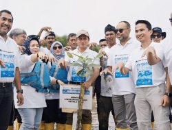 Program Mangrove untuk Kehidupan: Upaya Pemulihan Ekosistem Mangrove oleh Freeport Indonesia