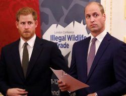 Kedekatan Meningkat antara Pangeran William dan Harry