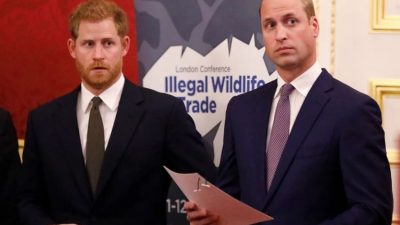 Kedekatan Meningkat antara Pangeran William dan Harry