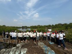 Menanam 10.000 Mangrove untuk Mengurangi Emisi Karbon