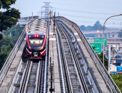 Pohon Tumbang Menyebabkan Gangguan di LRT Jabodebek