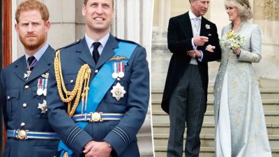 Pangeran Harry dan William Berusaha Mencegah Pernikahan Raja Charles III dengan Ratu Camilla