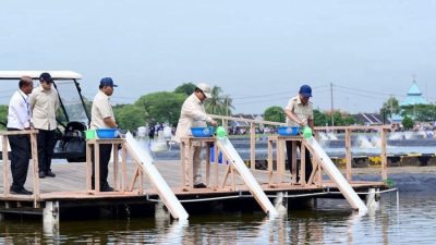 Prabowo Meninjau BLUPPB Karawang, Menebar Benih Ikan Nila Salin