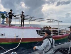 Selamatnya Kapal Pengangkut Hewan di Laut Flores Berkat Bakamla