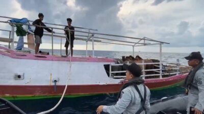 Selamatnya Kapal Pengangkut Hewan di Laut Flores Berkat Bakamla