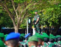 Kumpulan Prestasi Brevet dari Mayjen TNI Novi Helmy Prasetya