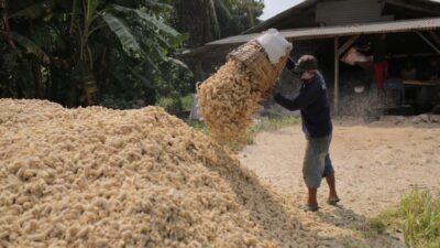 Prestasi PLN EPI Dianugerahi Penghargaan di Ajang IABC Awards 2024