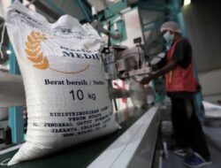 “Bulog Dapat Anggaran Rp16 Triliun untuk Produksi 3 Juta Ton Beras hingga April 2025”