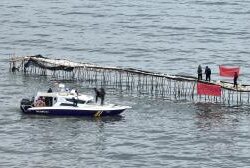 Misteri Pengusaha di Balik Pagar Laut Tangerang dan Bekasi