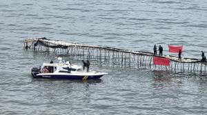 Misteri Pengusaha di Balik Pagar Laut Tangerang dan Bekasi