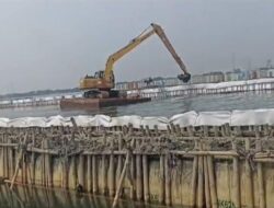 “Siapa Pemilik Pagar Laut yang Dibangun di Pesisir Pantai Utara Bekasi?”