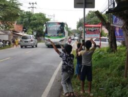 Hati-hati! Penggunaan Klakson Telolet oleh Bus Bisa Berakhir dengan Penjara dan Denda!