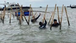 Buktikan Negara Hukum, Pemerintah Wajib Menyelesaikan Kasus Pagar Laut