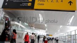 Skandal Pencopotan Pejabat Imigrasi Bandara Soetta Terkait Dugaan Pemerasan 60 WNA China