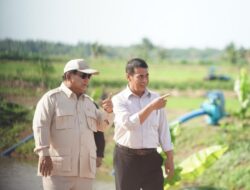 Prabowo Mendukung Kesejahteraan Petani dengan PP Pembelian Gabah Rp6.500